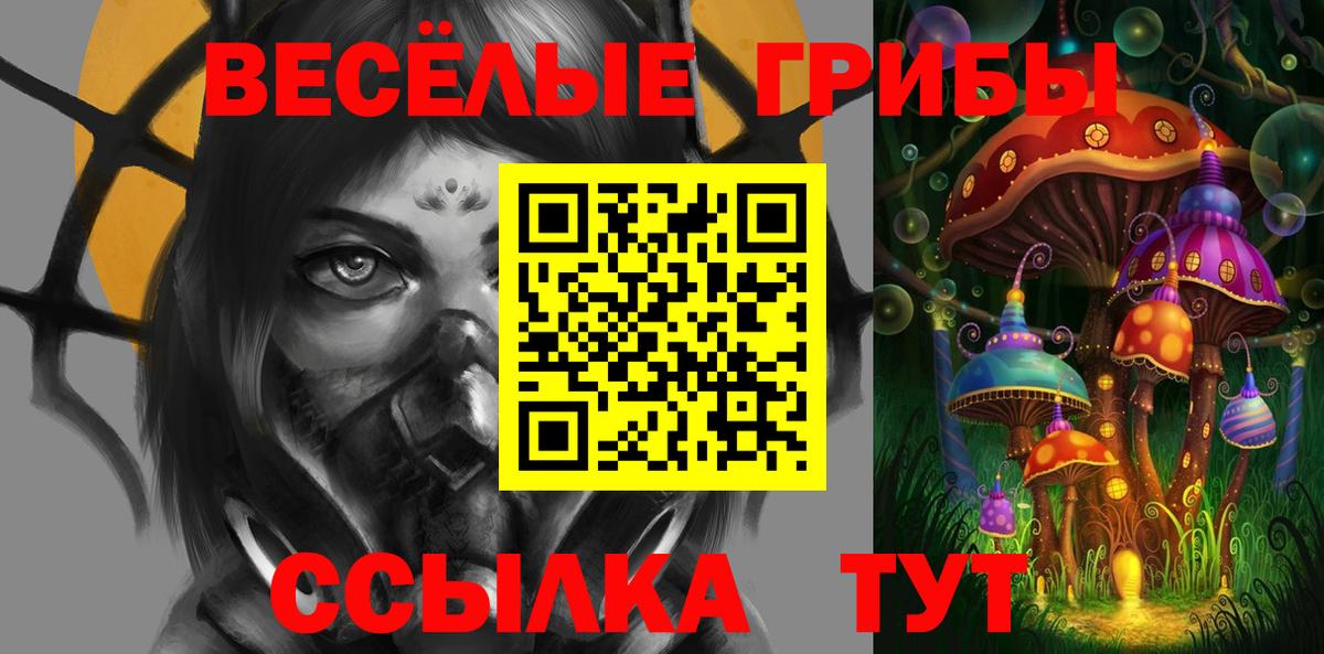 Галлюциногенные грибы мухоморы  наркотики  Ржев  Вход с VPN  Псилоцибиновые грибы Psilocybe 